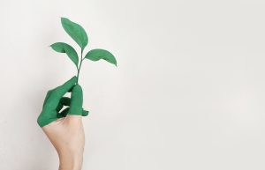 Green Plant