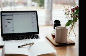 Webinar