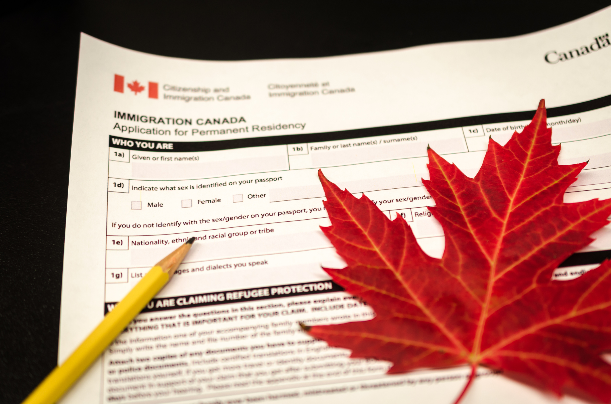 Application for canadian immigration CERIC