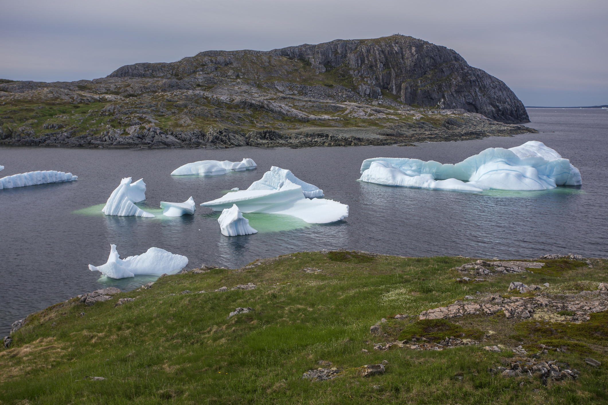 icebergs below Brimstone Head on Fogo Island, Newfoundland