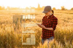 Rural employment : poised for growth