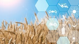 Smart farming and agritech.