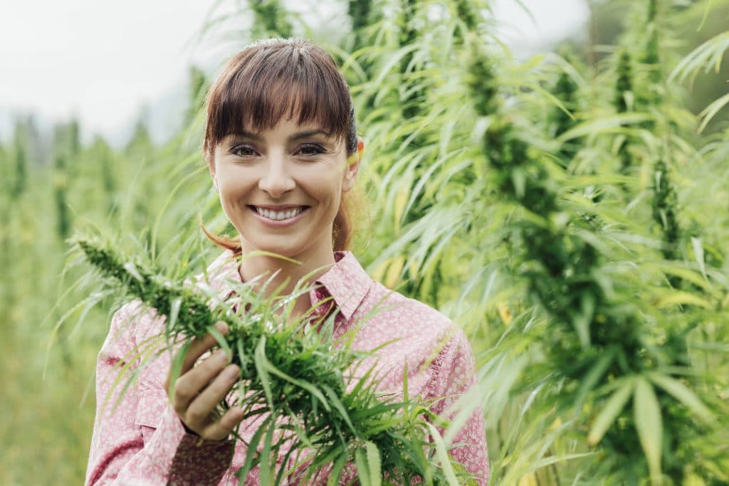 Young smiling woman in a cannabis field checking plants and flowers, agriculture and nature concept