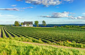 Landscape view of farm in Ile D'Orleans, Quebec, Canada
