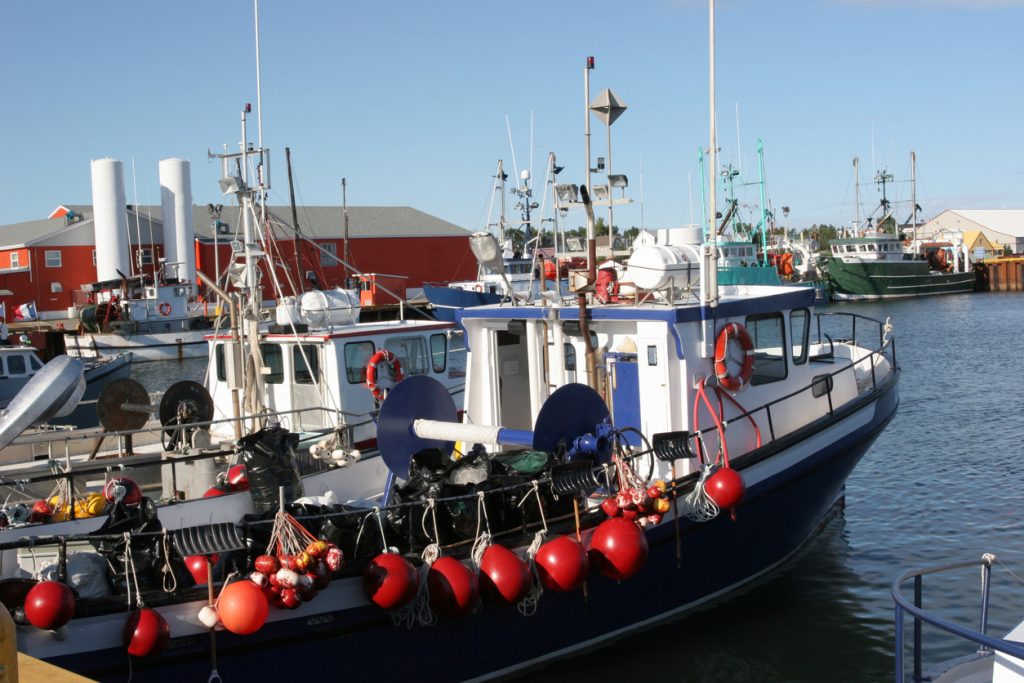 Caraquet Port - Fishing Boat, New Brunswick