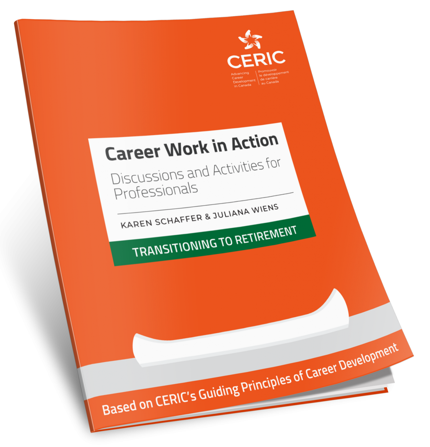 career-work-in-action-discussions-and-activities-for-professionals