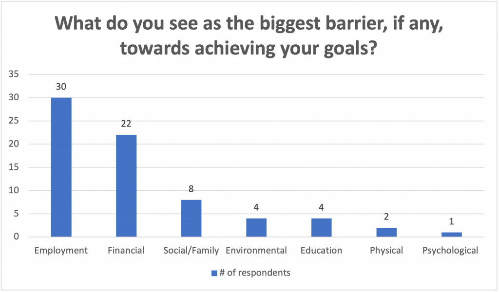 Chart of answers to "What do you see as the biggest barrier, if any, towards achieving your goals?"