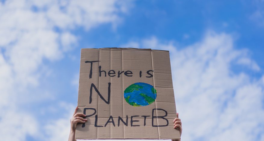 Close-up of sign at protest reading "There is no Planet B".