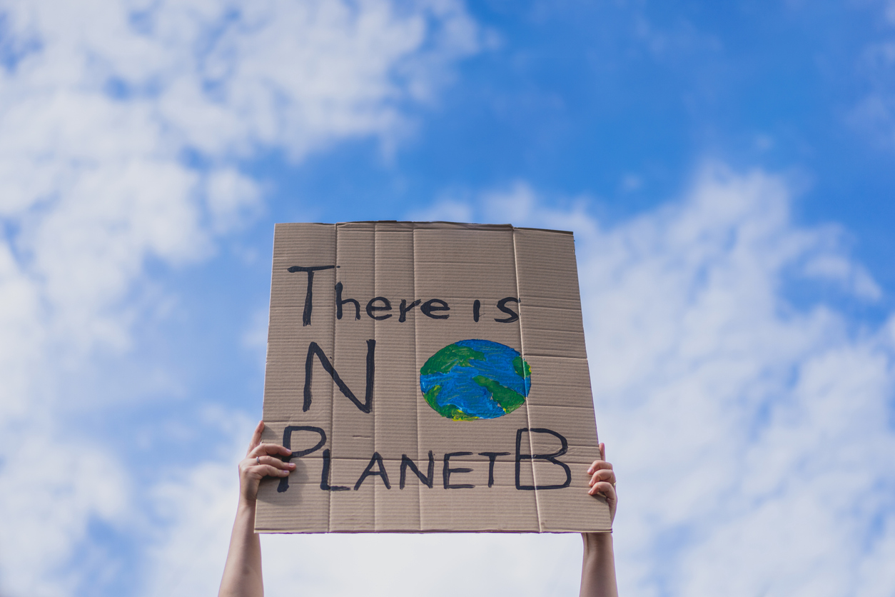 Close-up of sign at protest reading "There is no Planet B".