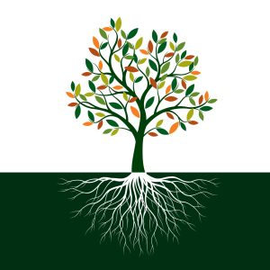 Illustration of green tree with white roots growing below ground and multi-coloured leaves