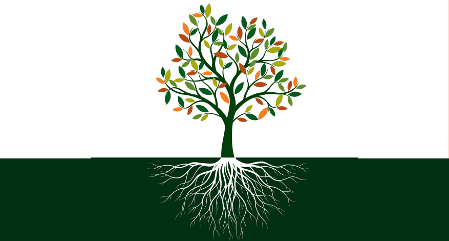 Illustration of green tree with white roots growing below ground and multi-coloured leaves