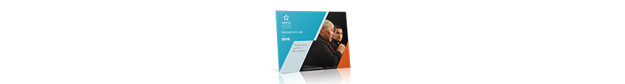 Rapport annuel 2016